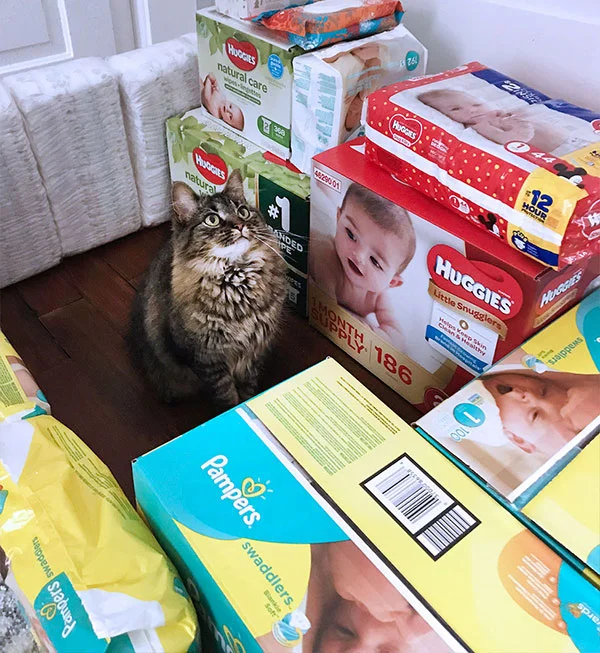 Kitty Fort