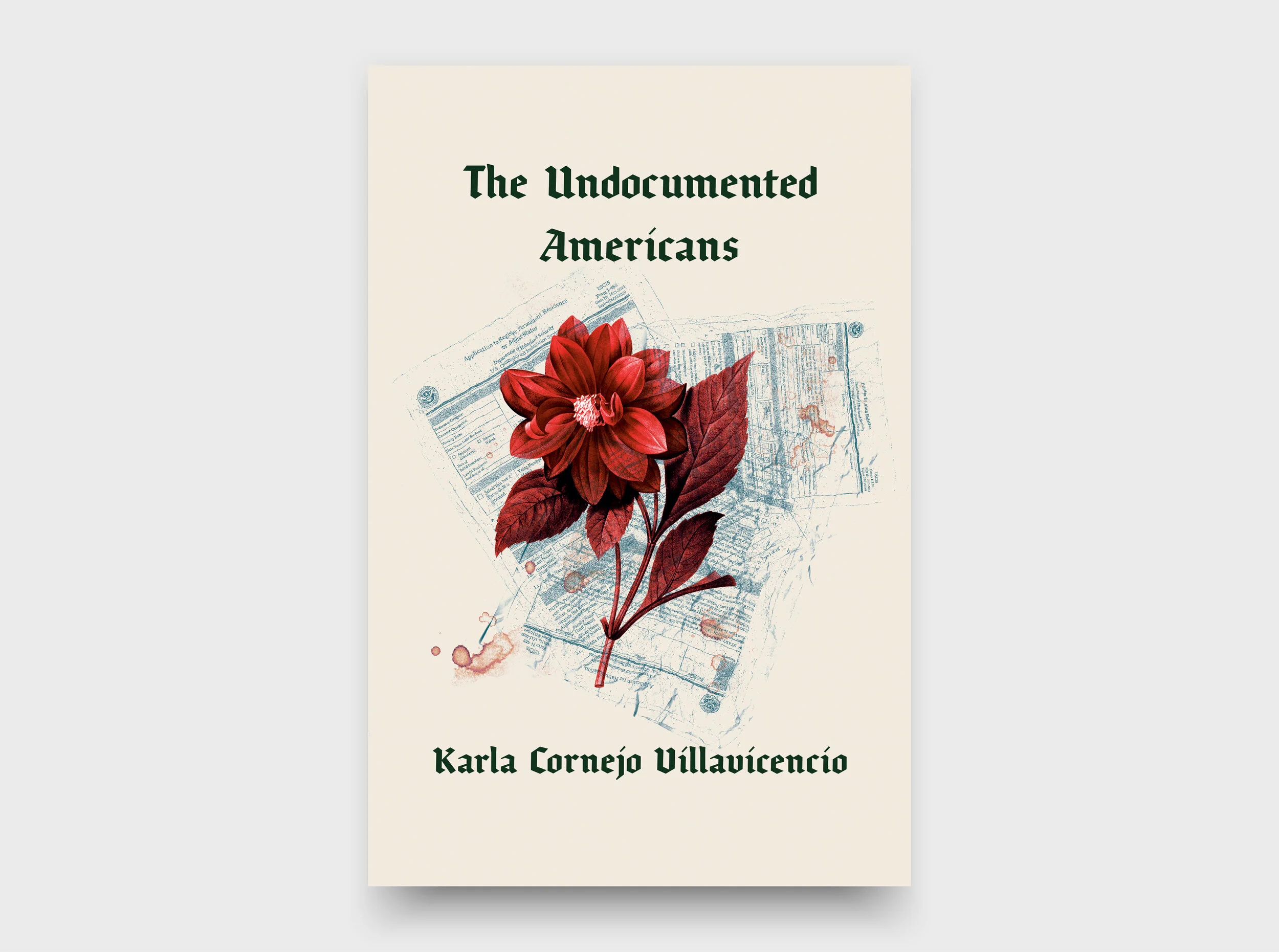 The Undocumented Americans (Copy)