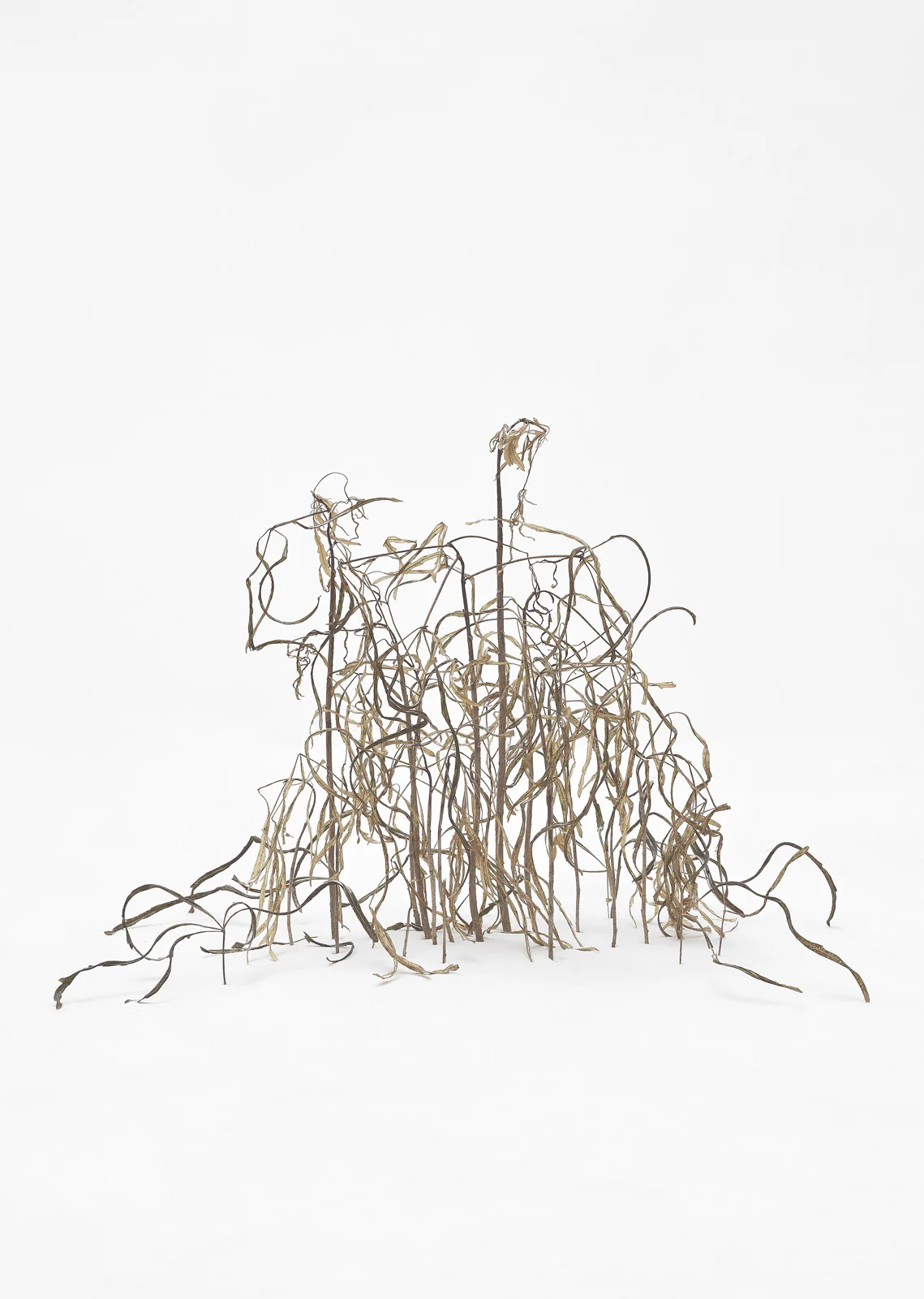 Trees and Bushes in Snow 7, 2015