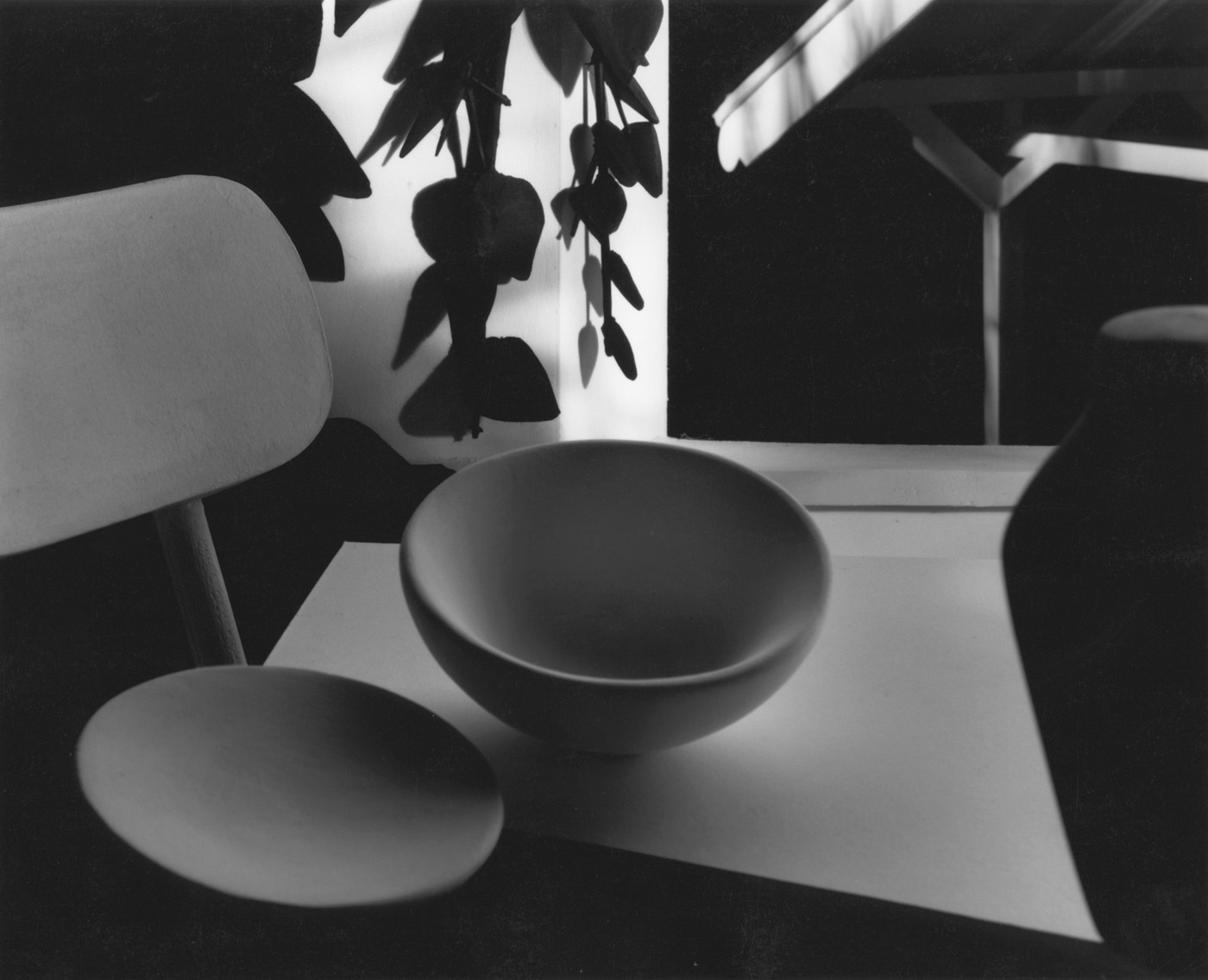   Empty Bowl with Canopy , 1989 