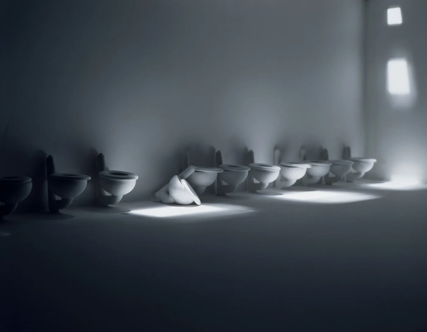 Toilets , 1995