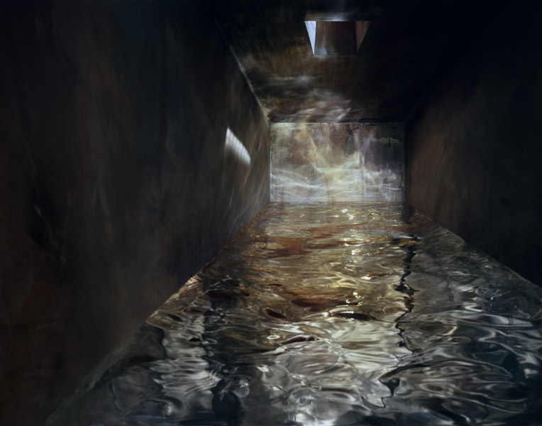   Flooded Cell #2 , 2008 