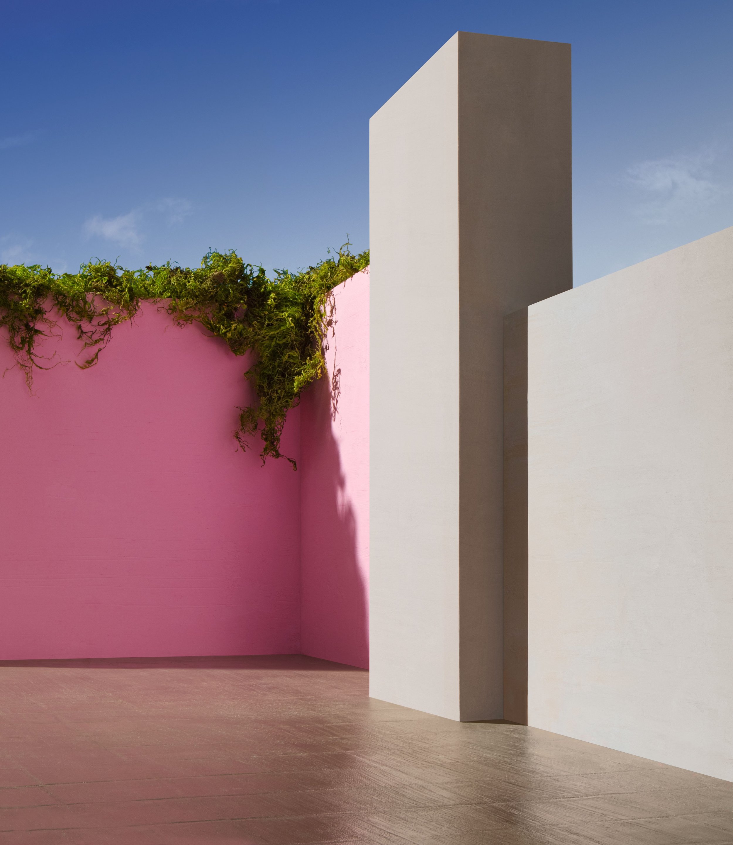   Courtyard with Plants,  2021 