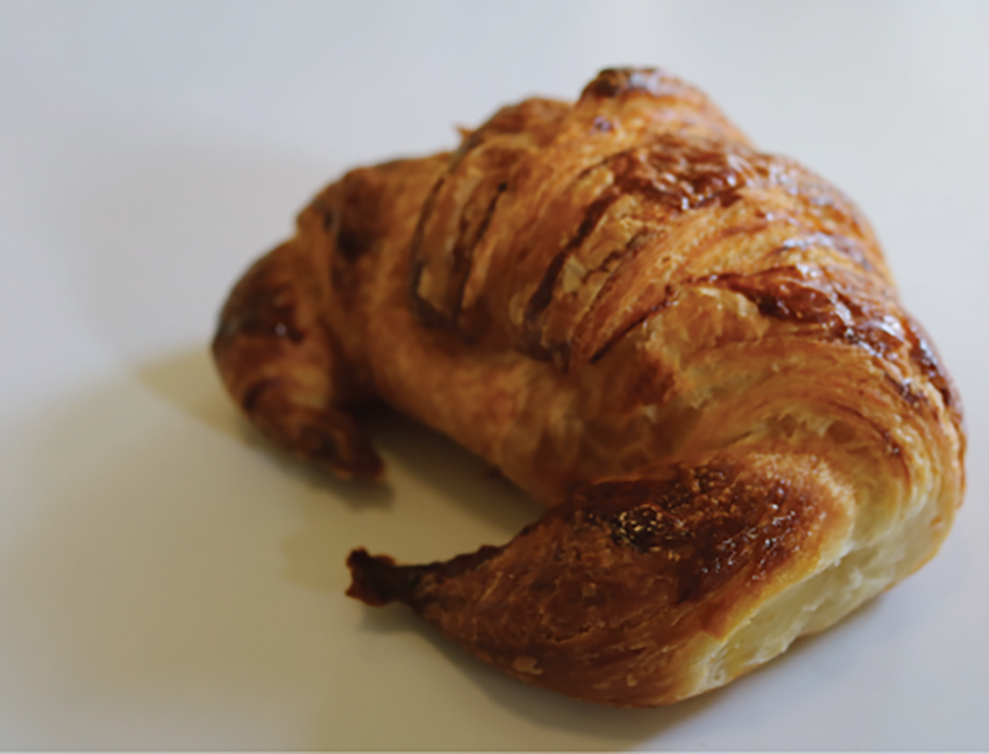 Plain Croissant