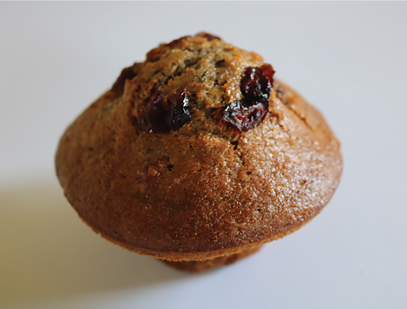 Cranberry Muffin