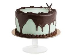 Chocolate Mint Cake