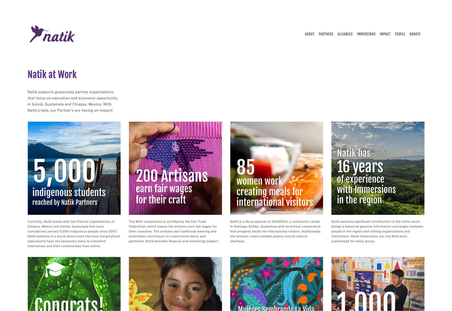 DonnellyDesign-Natik-Website-Impact.jpg