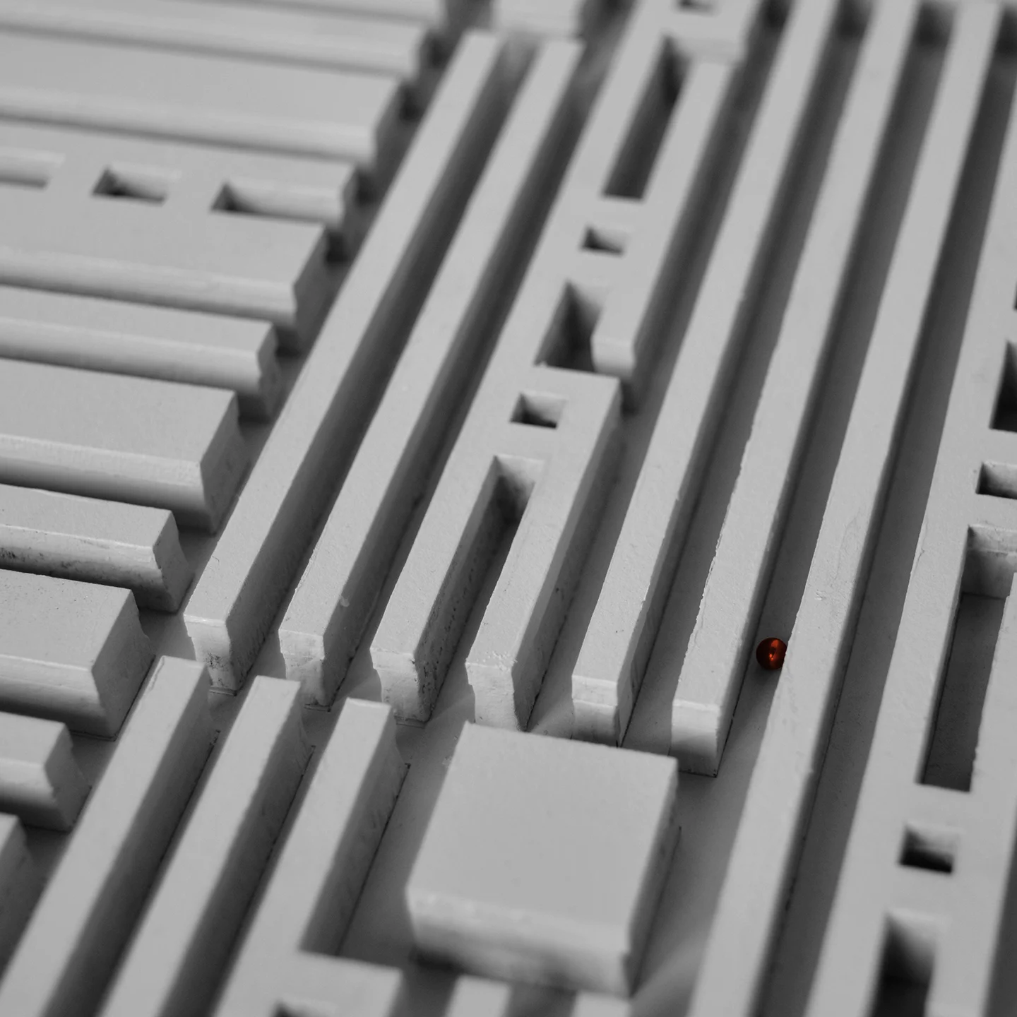 Closeup1.jpg
