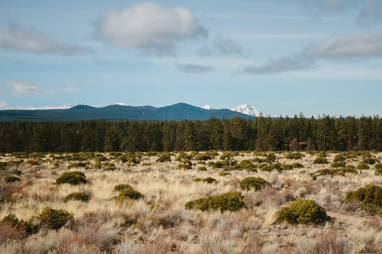 Bend_February_18-1.jpg