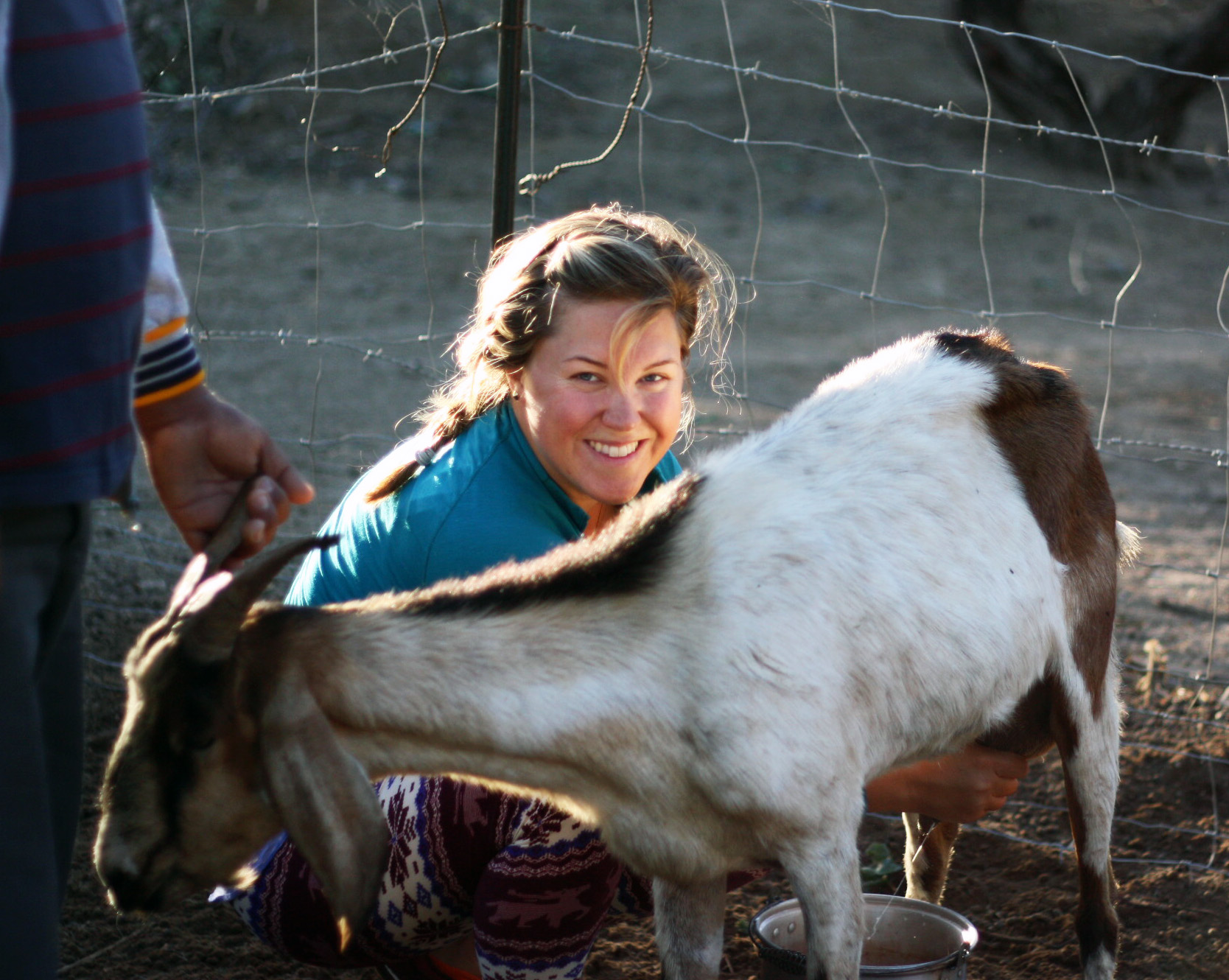 gussie-milking2.JPG