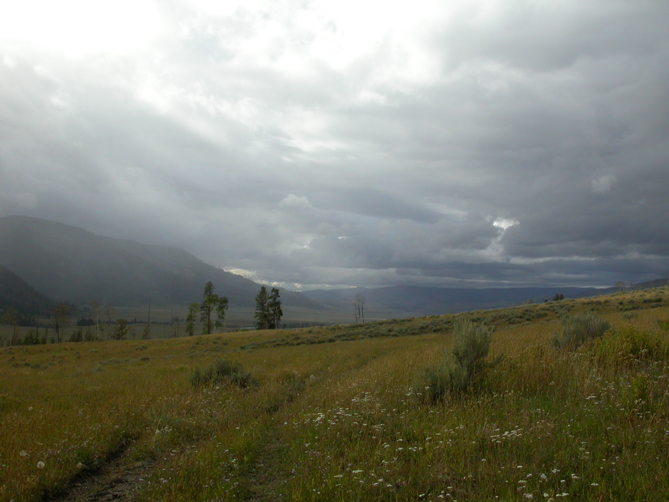 YNP-LamarValley2.jpg