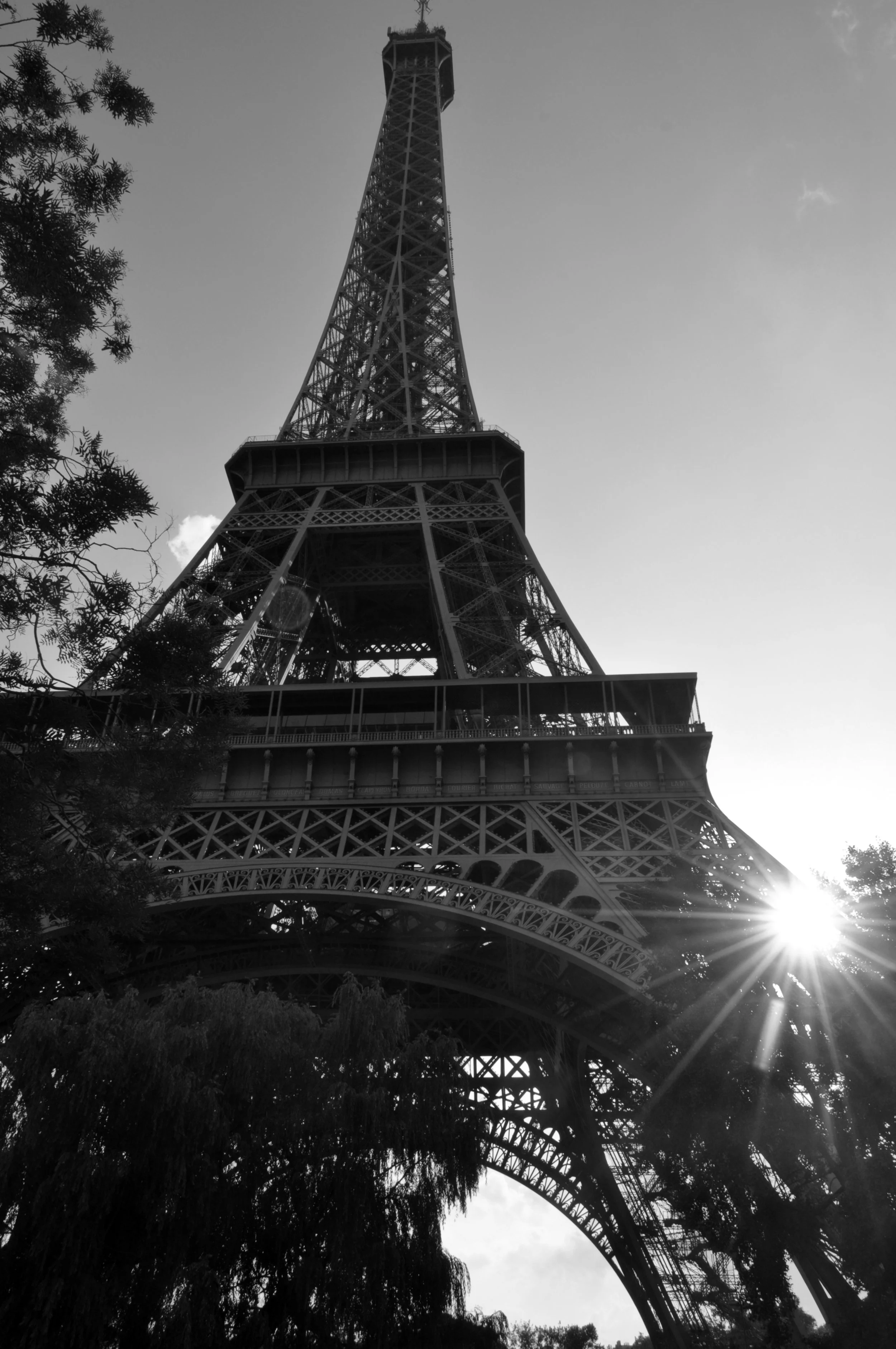 DSC_0754_bw.jpg