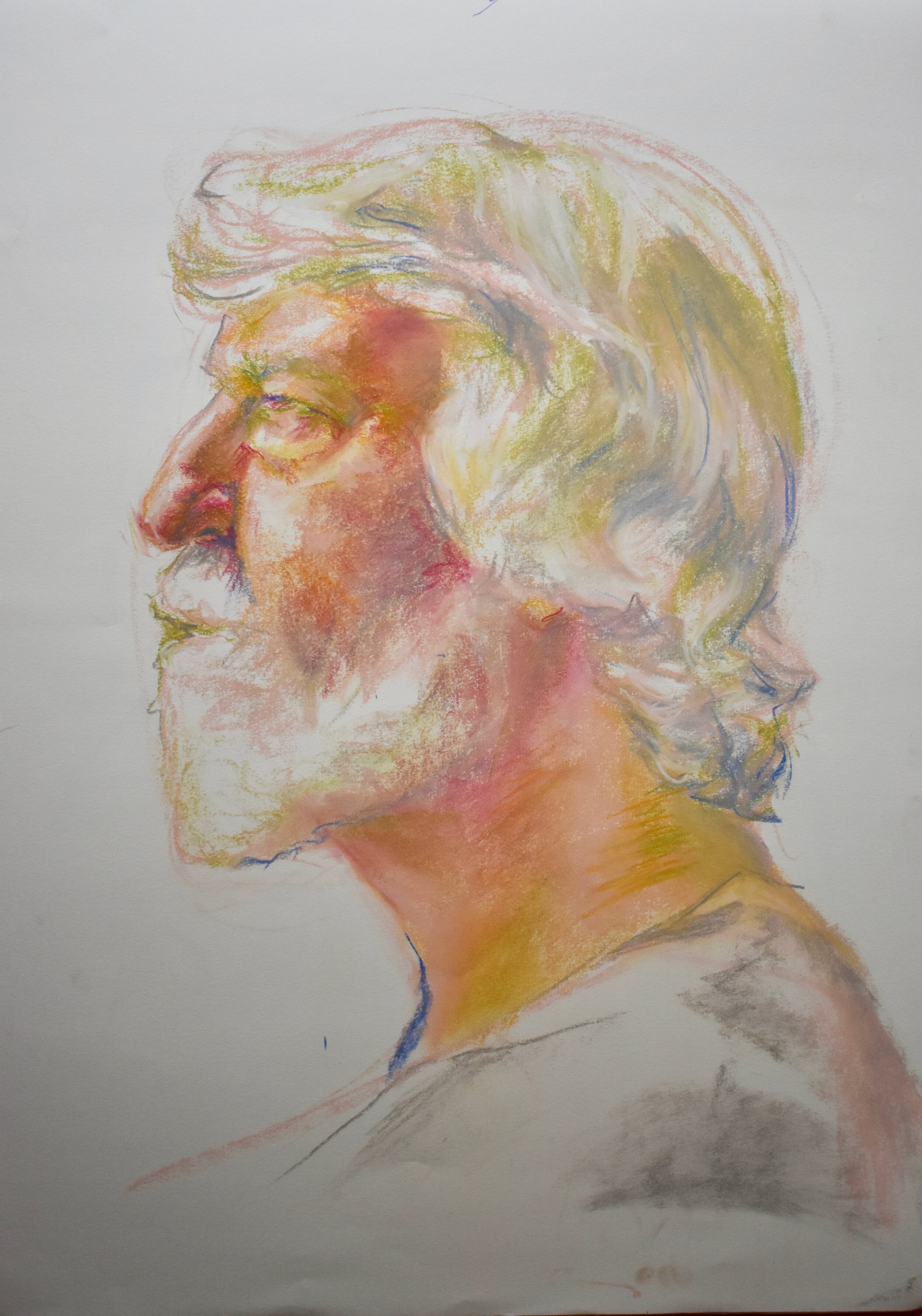 Colored Portrait . 18"x 24". chalk pastel . Finished 2019.