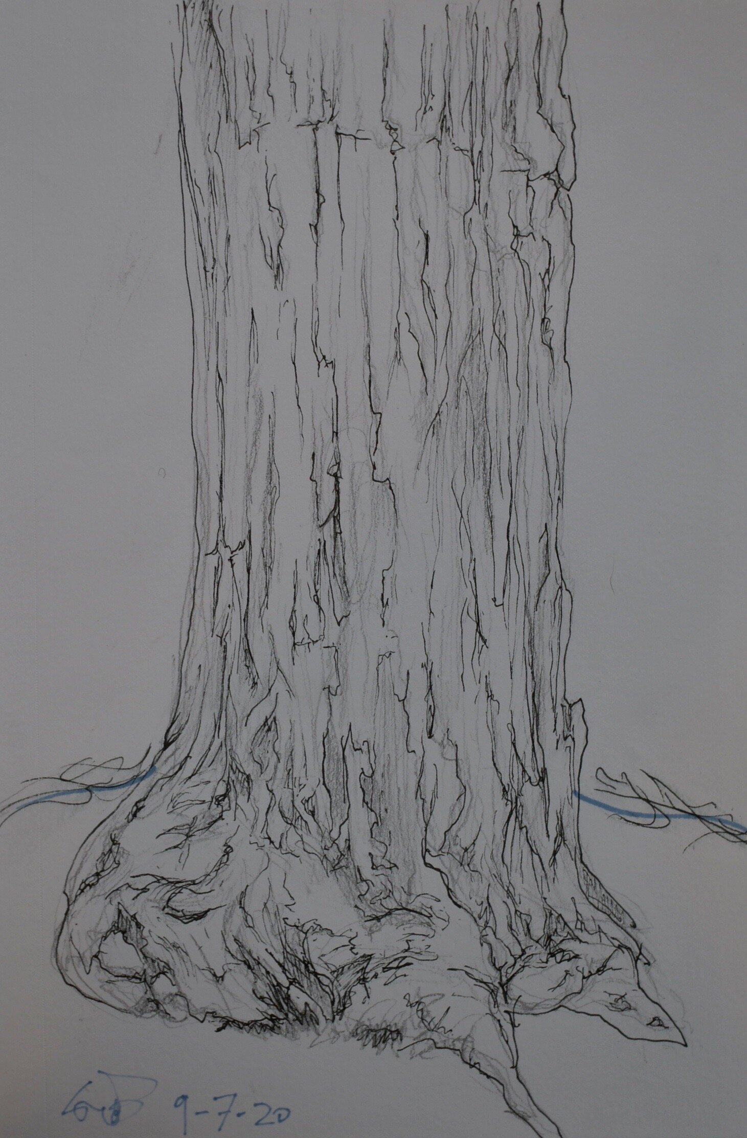 tree, pen on sketch paper