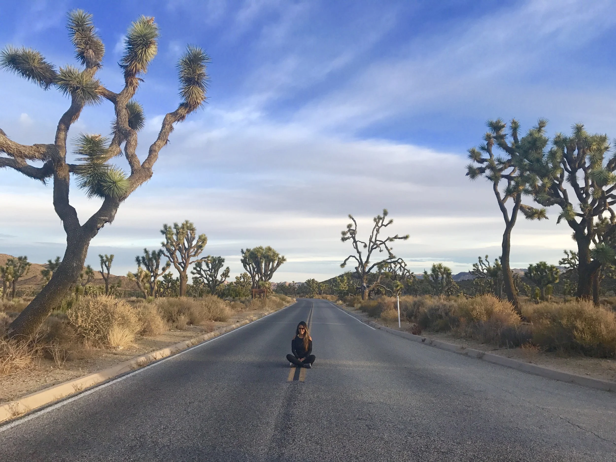 Joshua Tree Escape