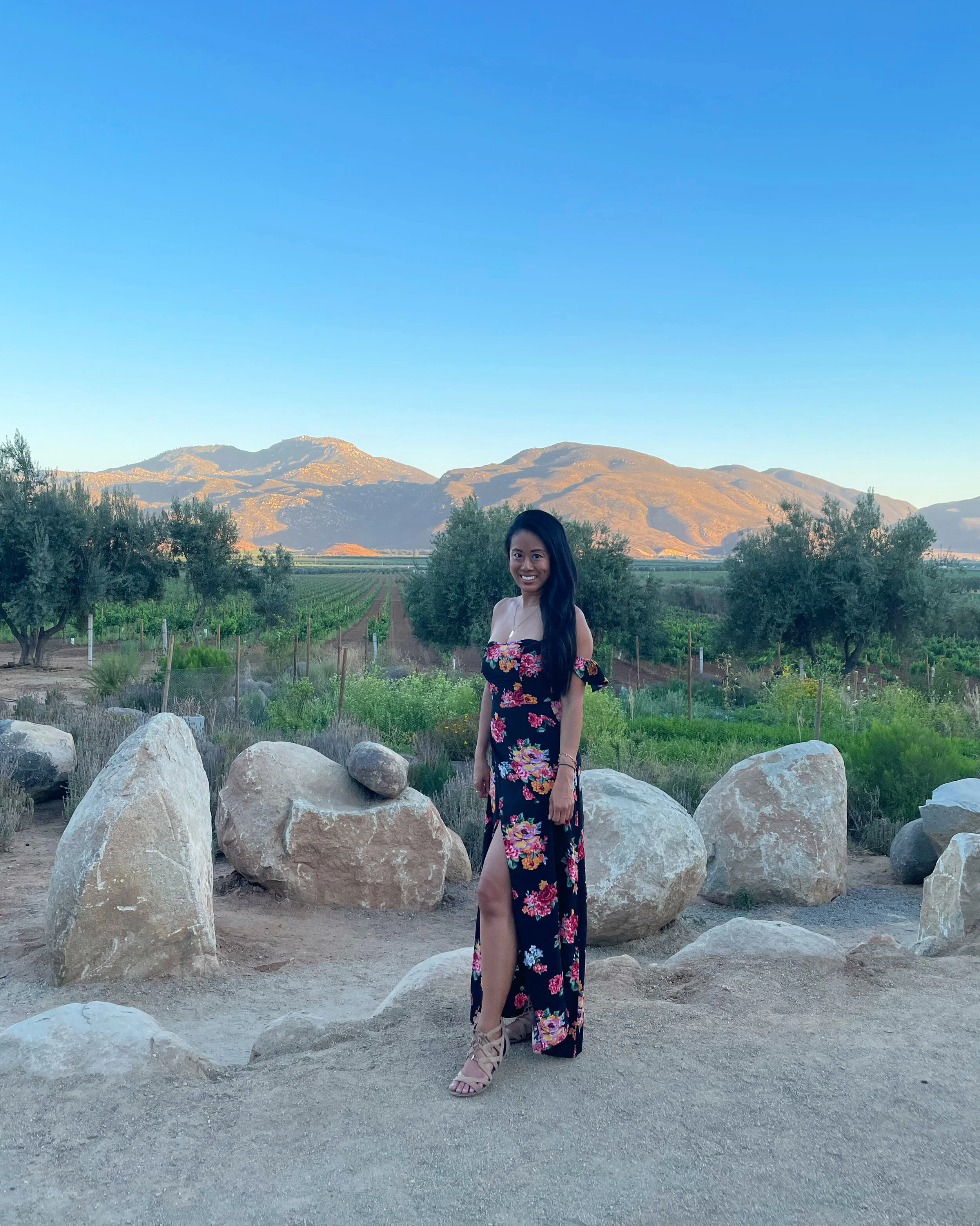 Escape to Valle de Guadalupe