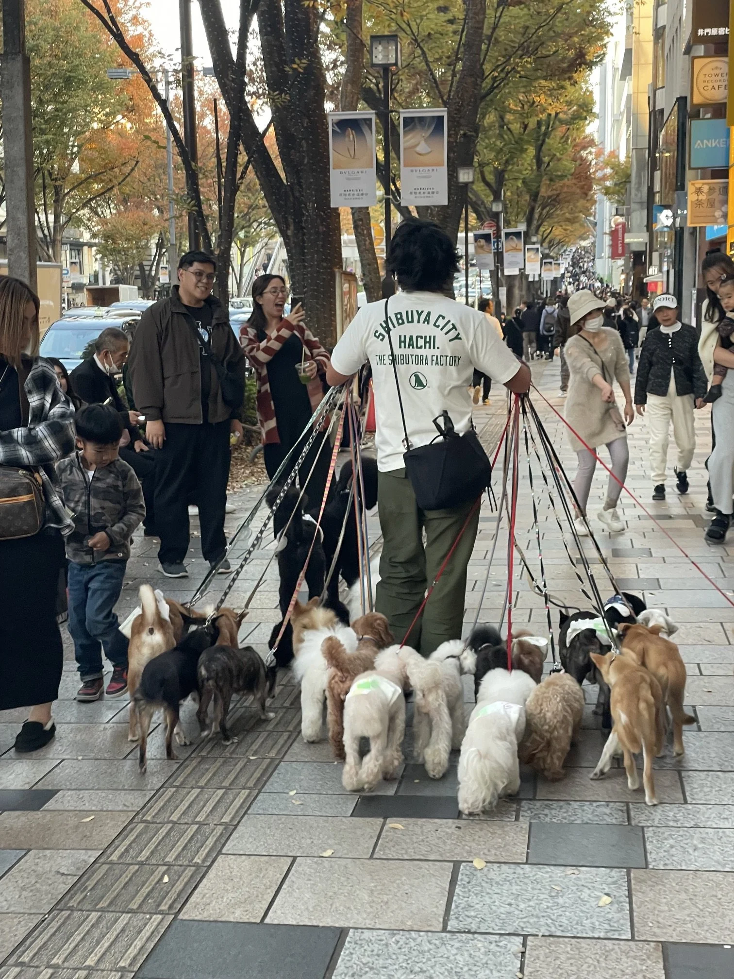 IMG_5430.jpeg