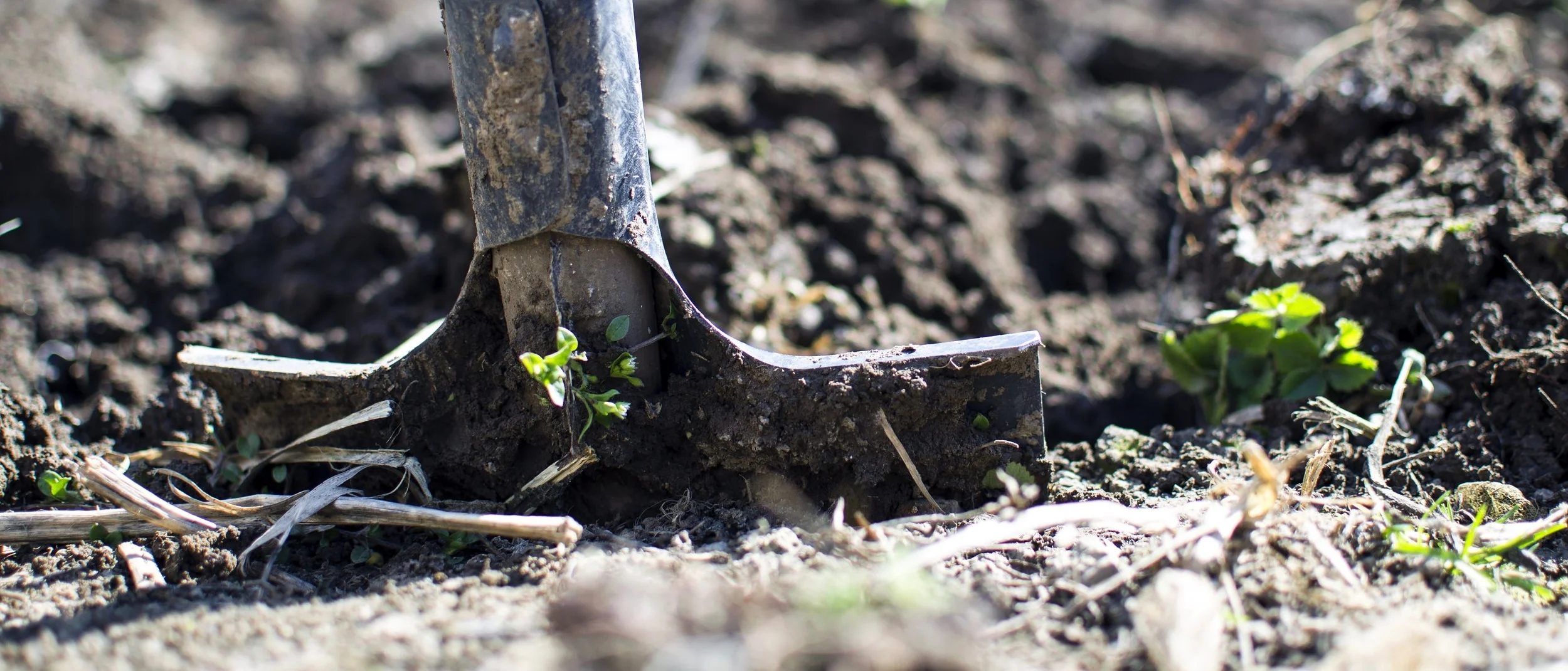 Reclamation Option3.jpeg