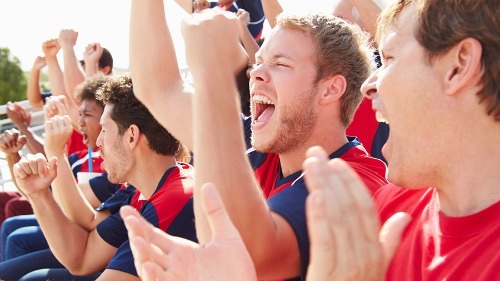 bigstock-Spectators-In-Team-Colors-Watc-64373467.jpg