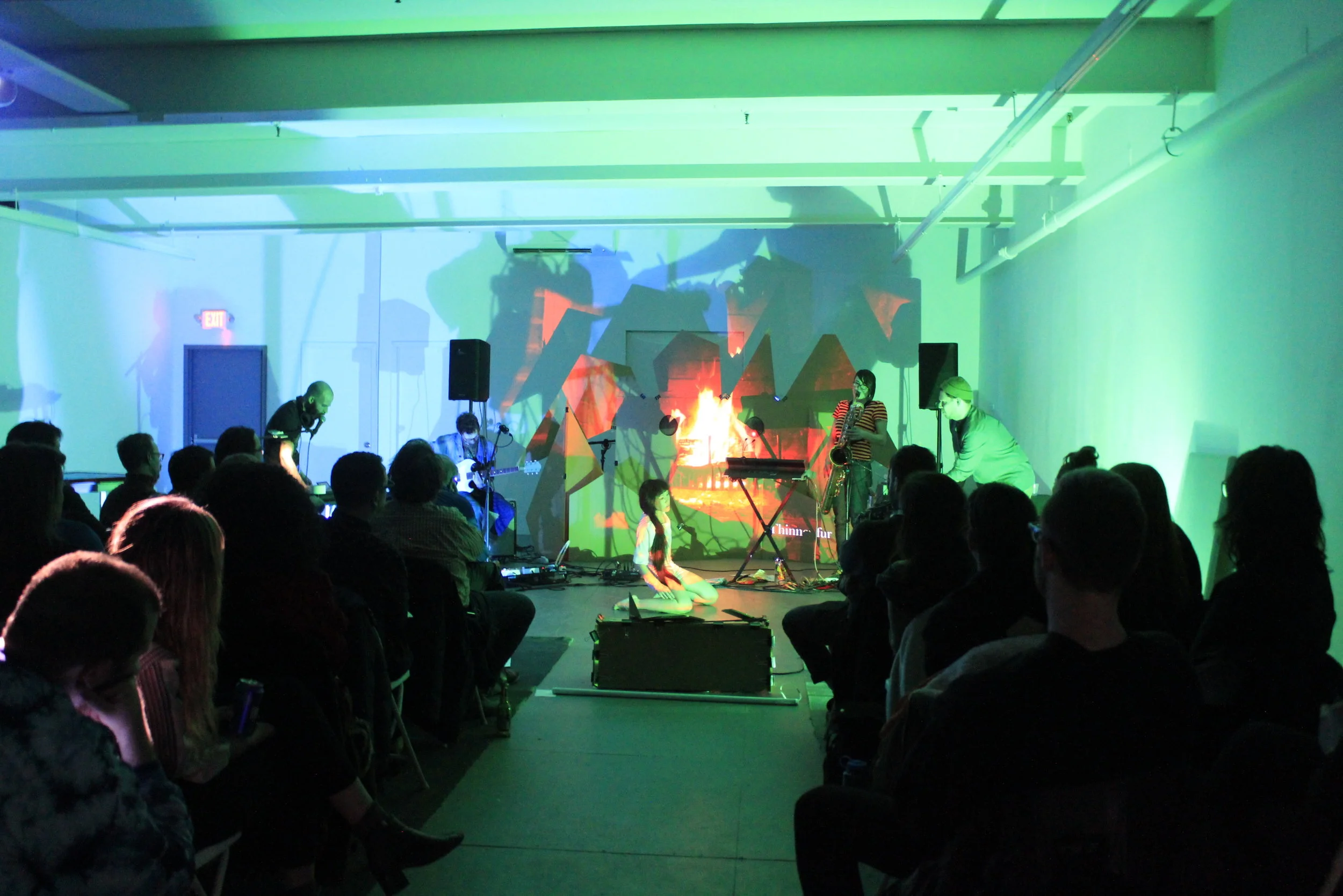 captured from Braided Sound: Brooklyn @ the microscope gallery; taken by Harmony Pilobello