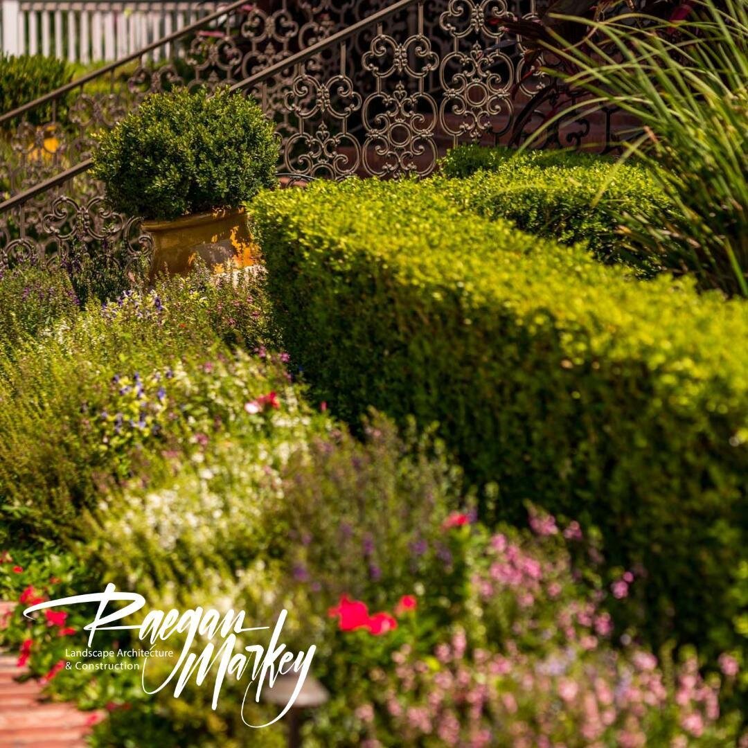 Nurturing plants in a coastal climate can be tricky. Let us assist in your design and selection process to ensure your landscape aesthetic is sustainable and thrives.

#landscaping #landscapearchitect #coastal #coastallandscaping #residentiallandscap