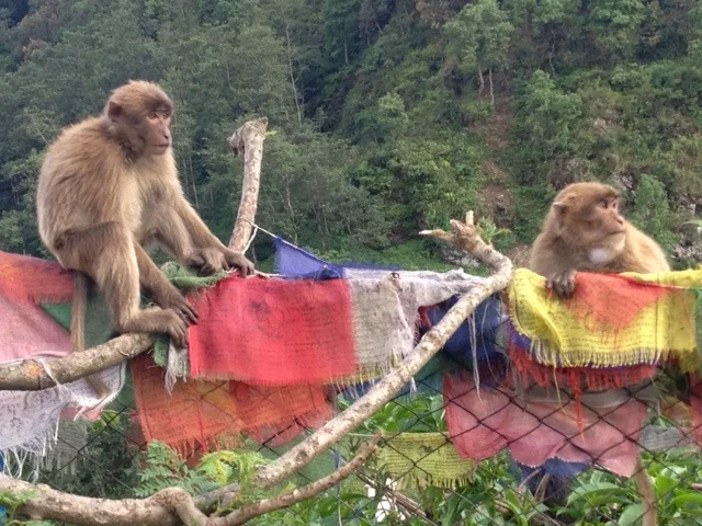Some extras standby during filming of the GOS documentary at the monastery.