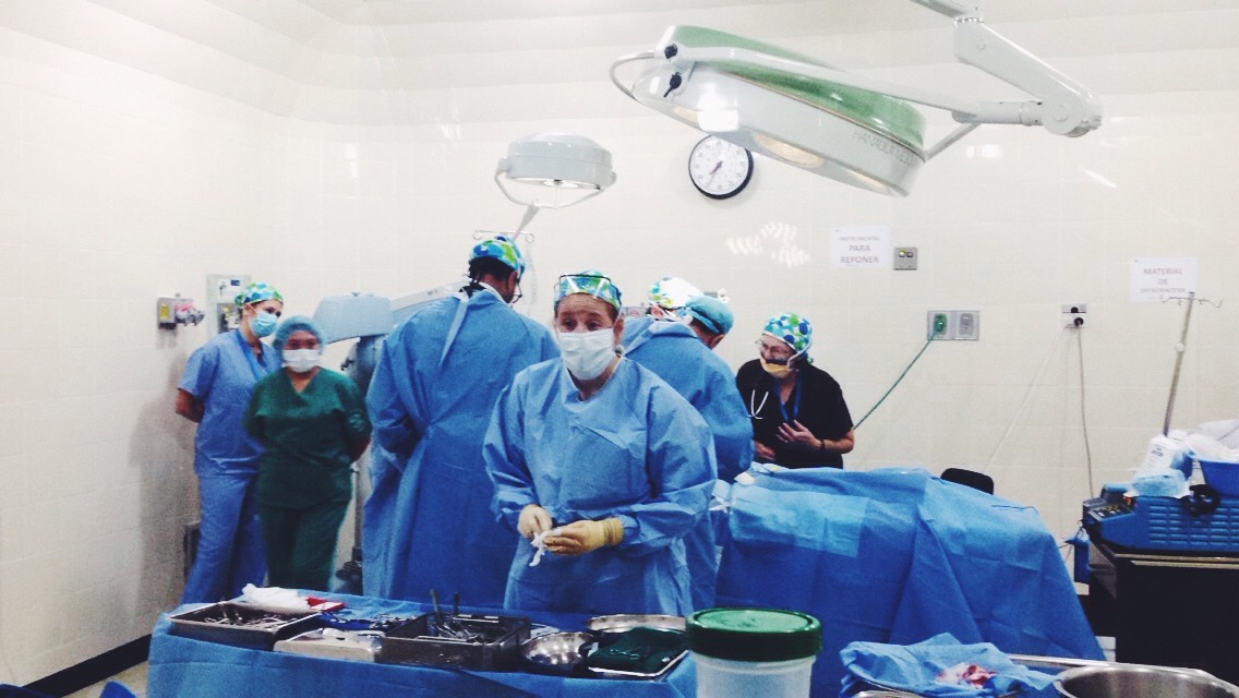 The plastic surgeons perform a Microtia operation.