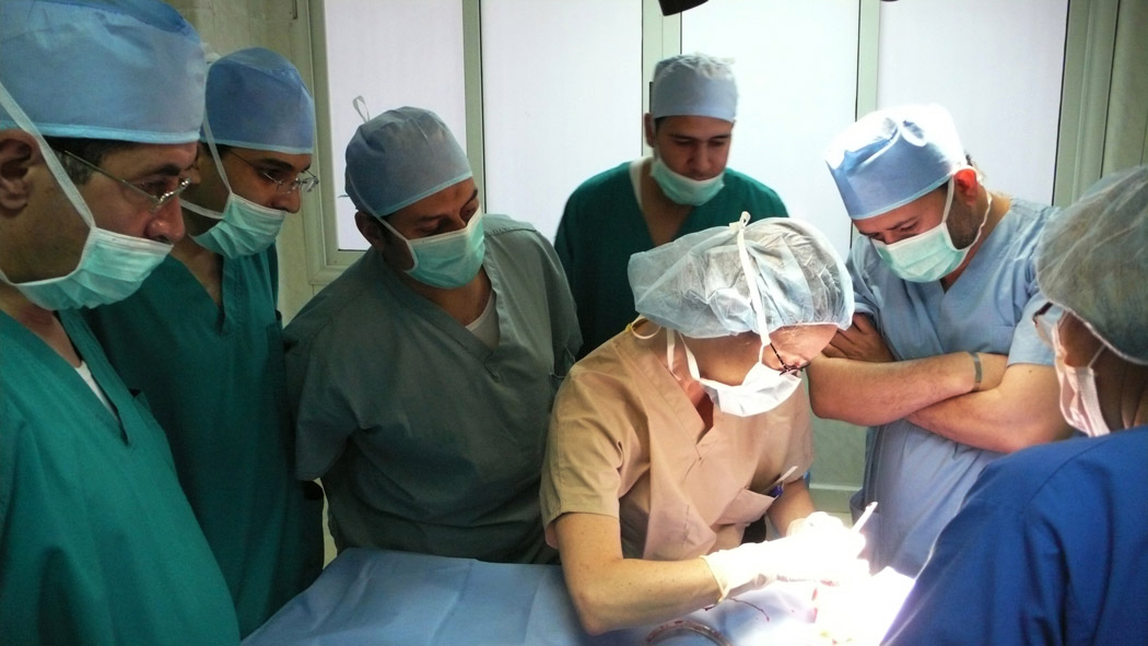 Egyptian surgeons learning from our plastic surgeon Dr. Cohen