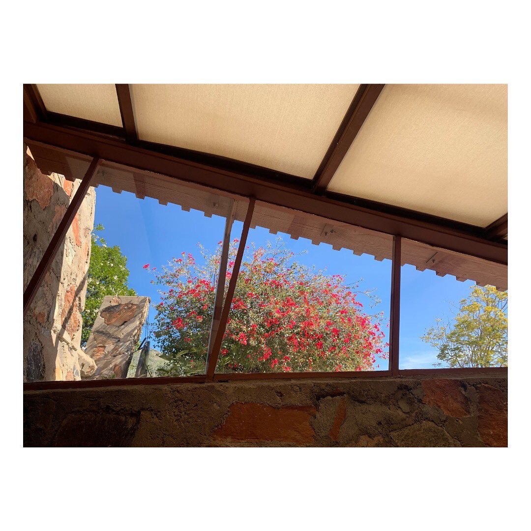 Our southwest winter rains held out just long enough for a fantastic four-day sunny stretch in Phoenix. 

Also, my new life&rsquo;s goal is to get invited to a party at Taliesin West.  Where are my connections at? 😉

#Phoenix #TaliesinWest #FrankLlo