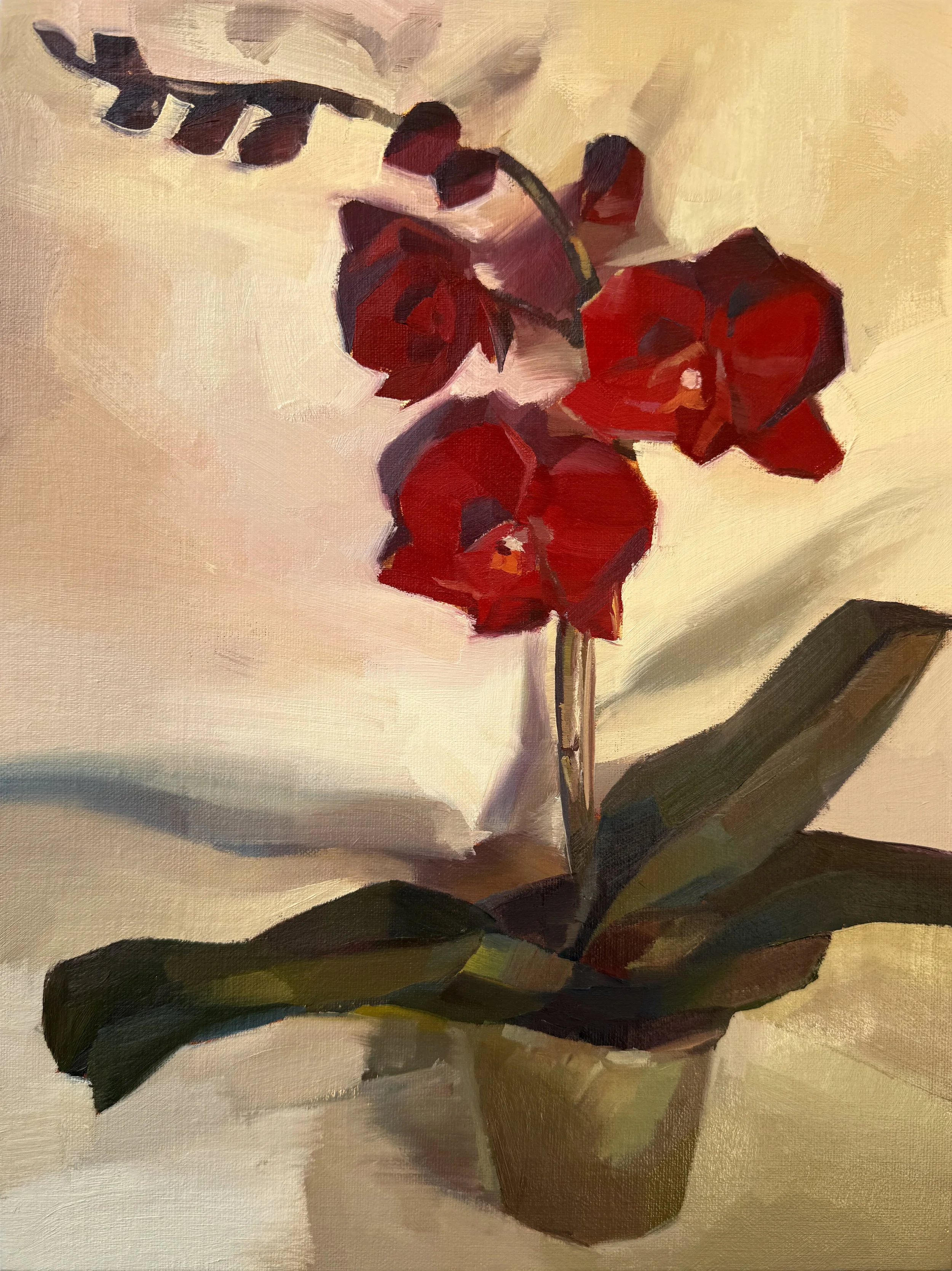Red Orchid