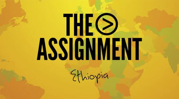 theassignment.jpg