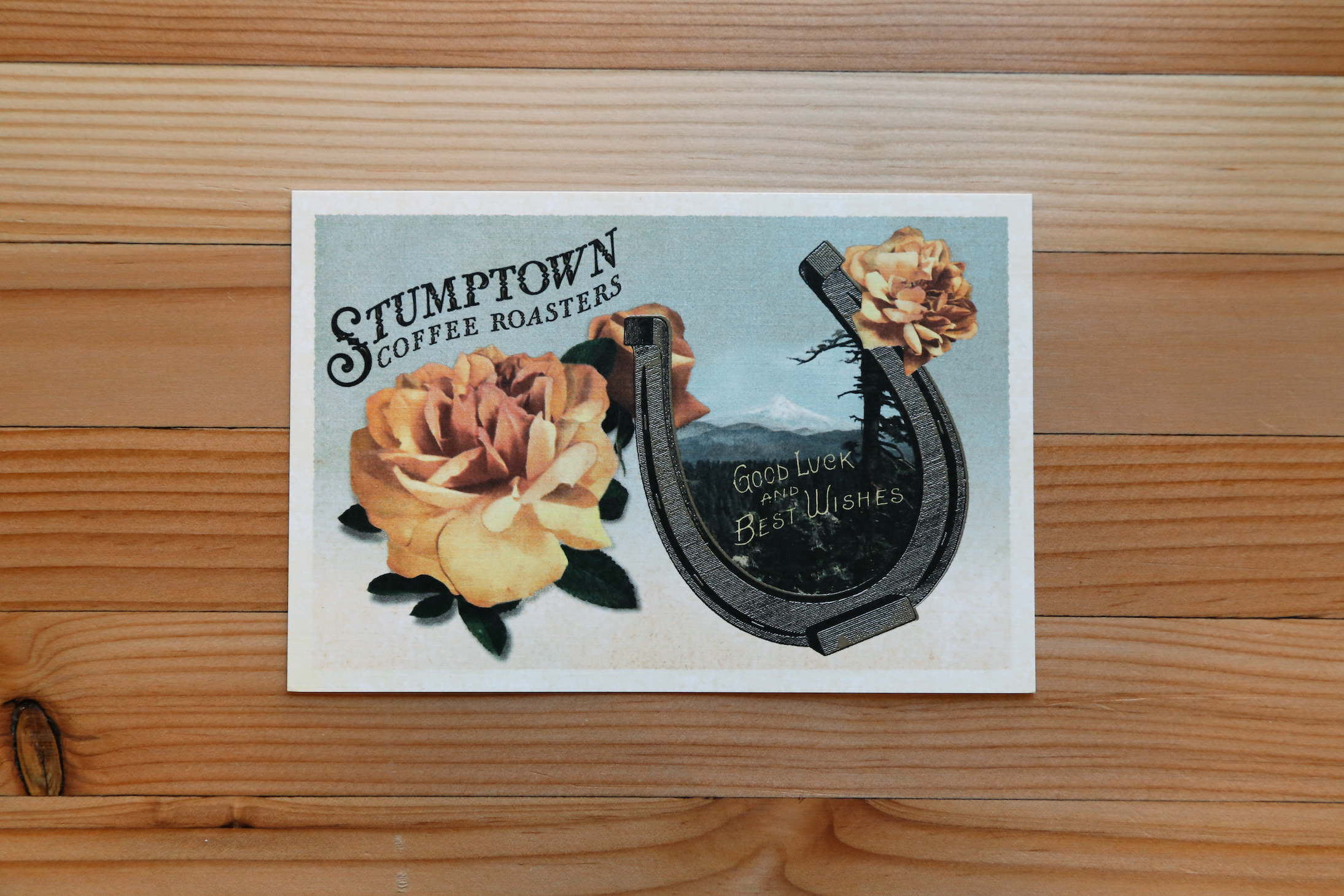 stumptown-coffee-roasters_28779815703_o.png