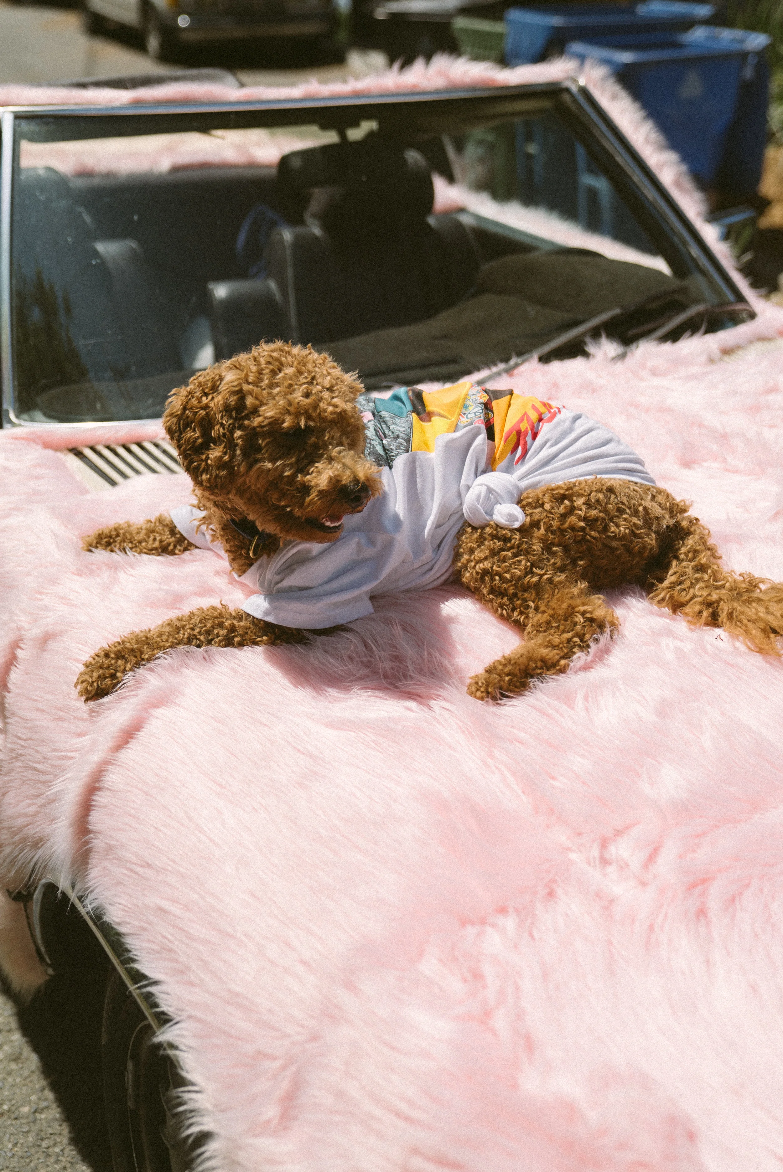 FLUME - Merch - Percy (Edited) - 8-20-2019-74.jpg