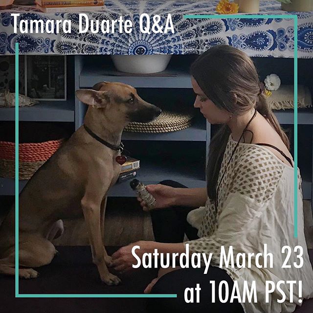 Join @tamaraduarteofficial and team Pooched this Saturday for another round of Q&amp;As! Leave a question on our YouTube trailer, link in bio! While you&rsquo;re at it, give our trailer another watch 😉