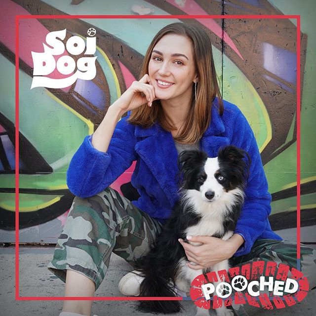 This year @katbarrell is supporting the @soidogfoundation. A portions of all proceeds sold from this photo (from conventions) will be donated to help treat the medical needs of street dogs and find their loving forever homes. 🐾 #katbarrell #bernieba