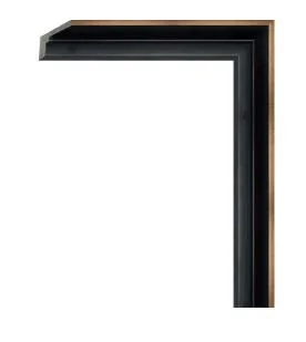 Bronze Floater Frame.JPG