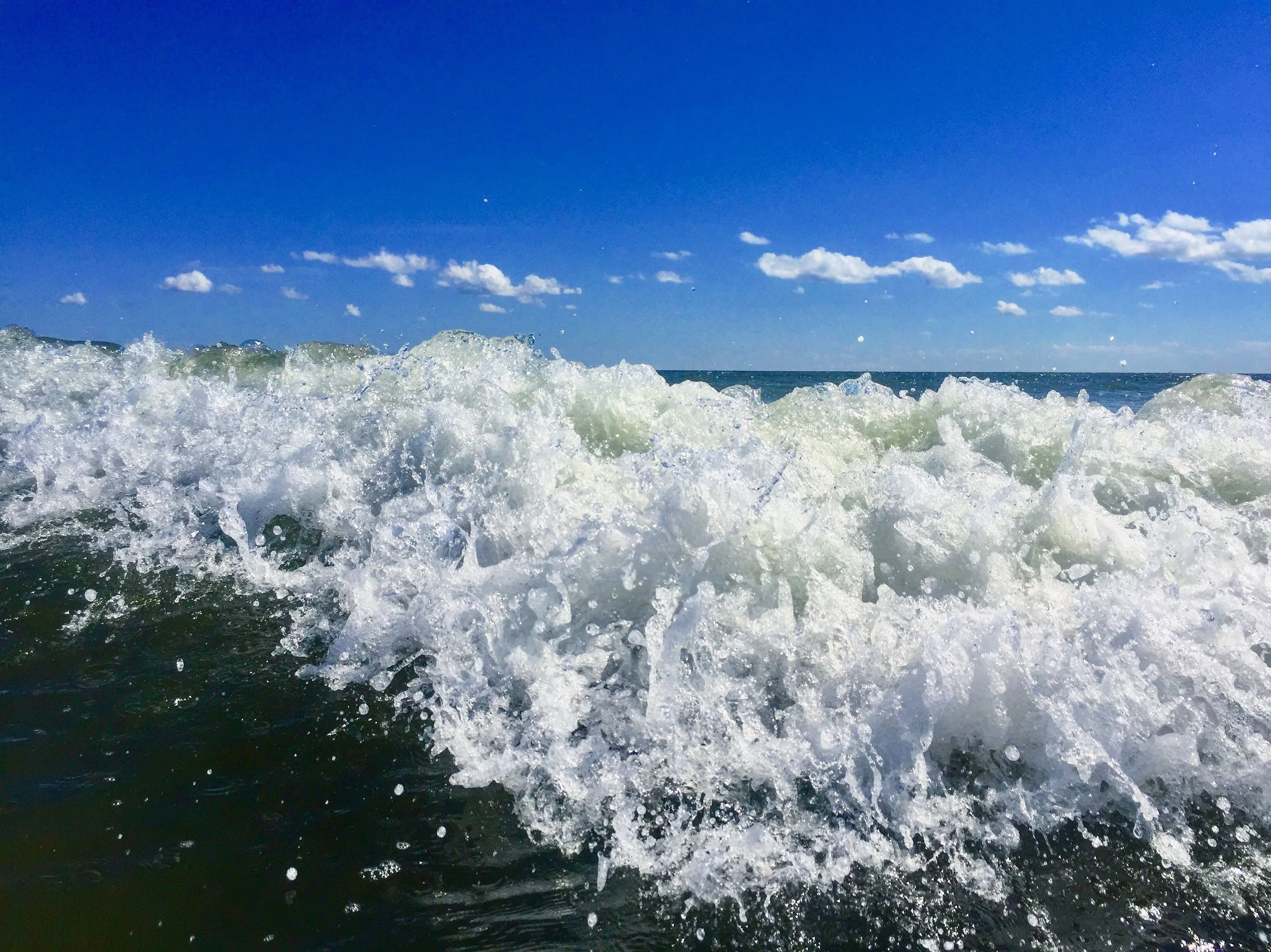 IMG_0534.jpg