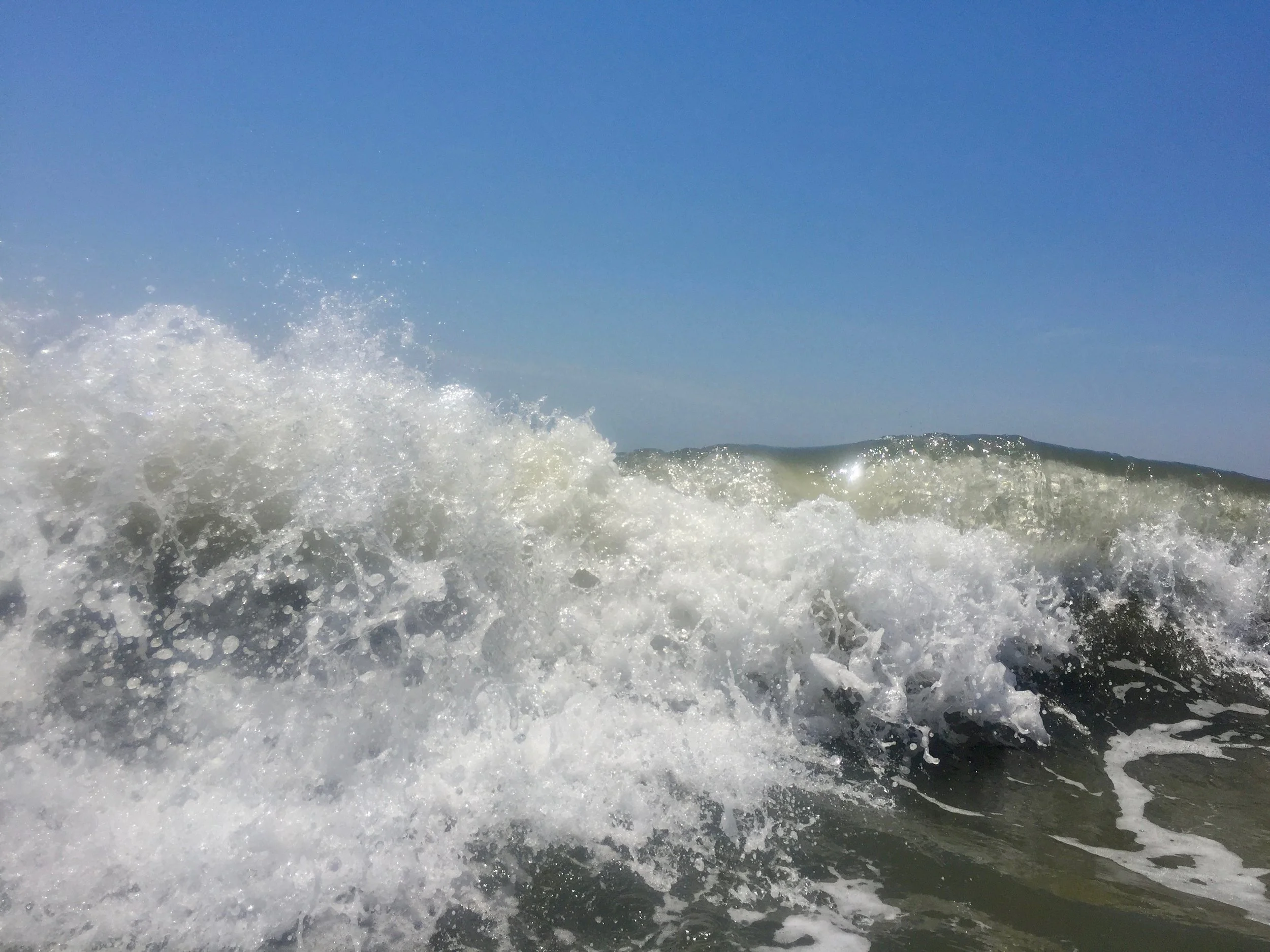 IMG_9469.jpg