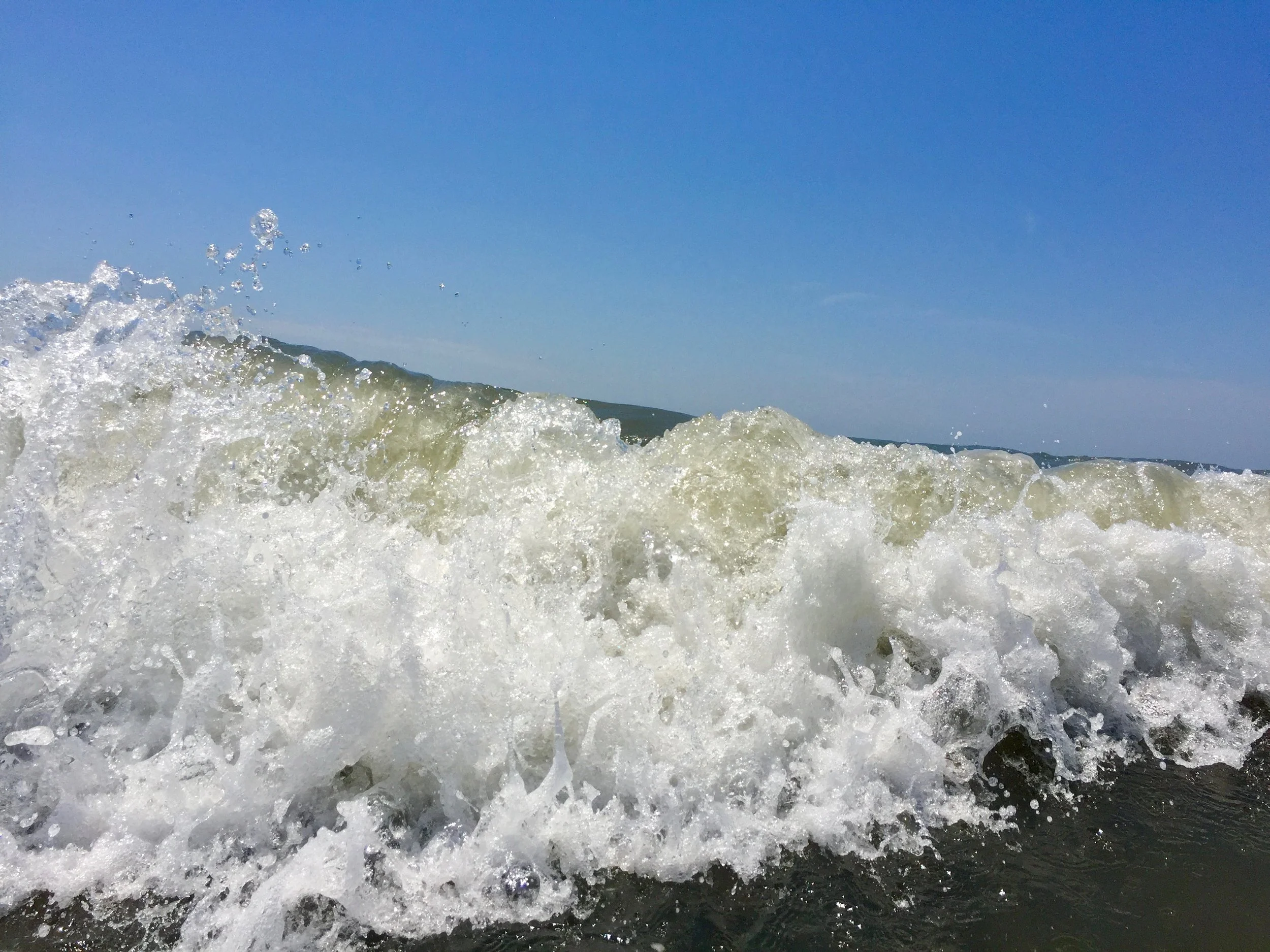 IMG_9496.jpg