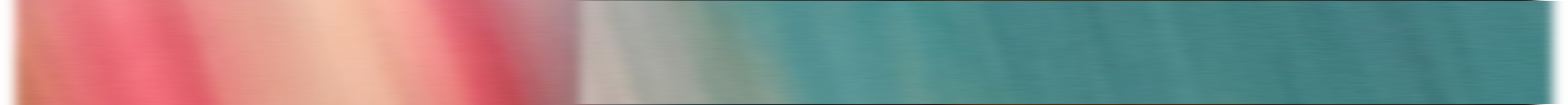 Banner Image 1.png