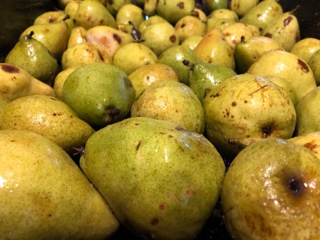 Golden Potomac pears