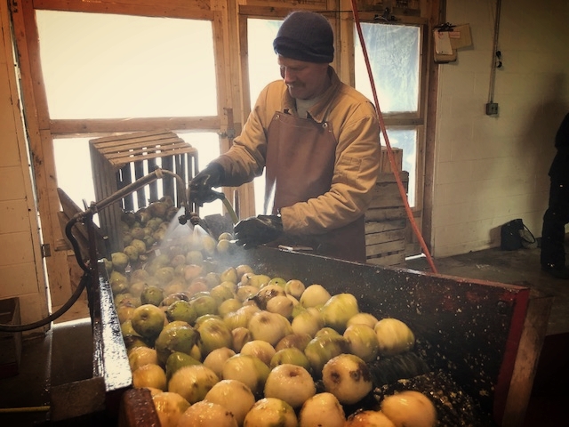 Gary Stroh washing the pears