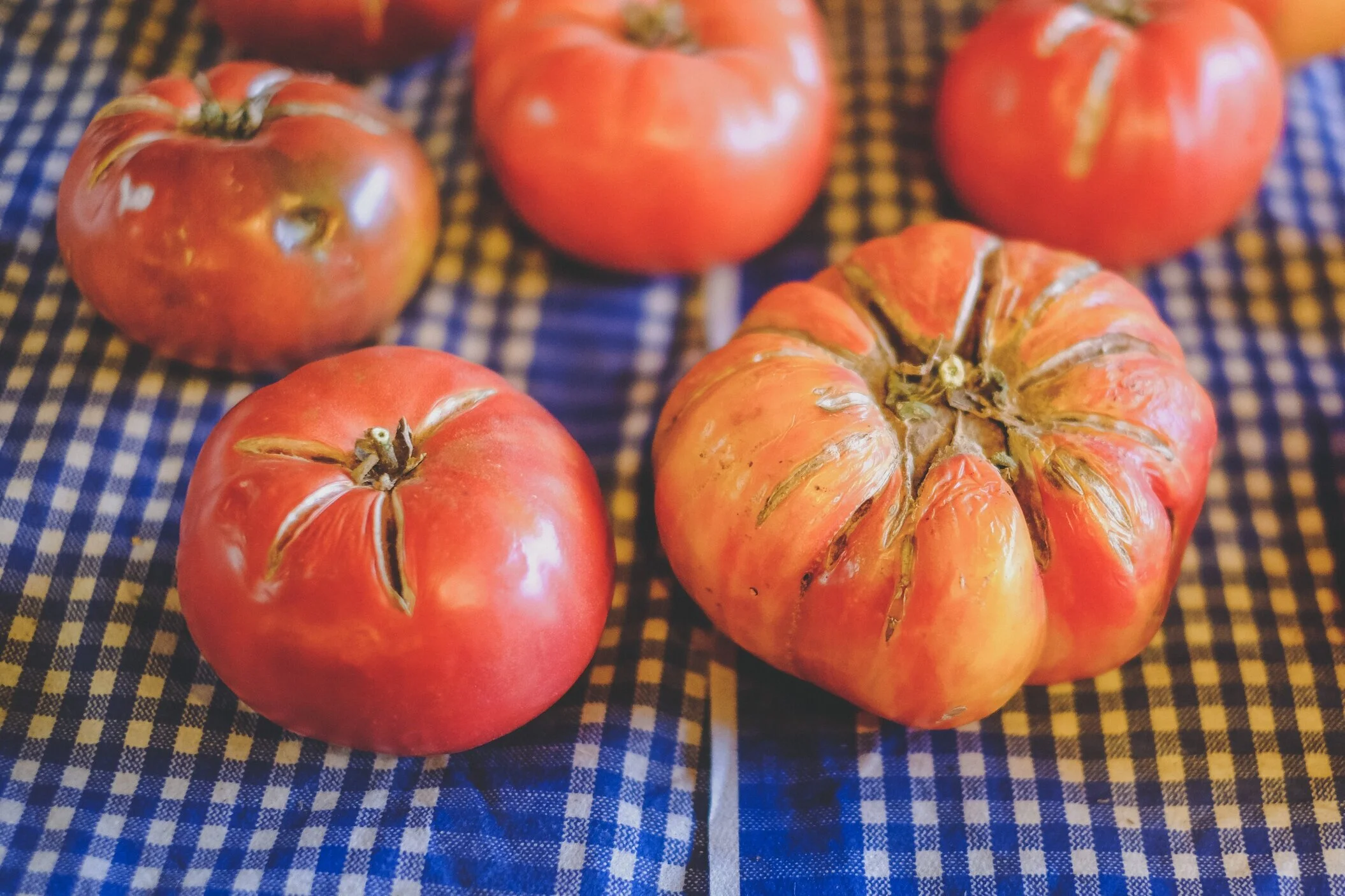 Ligonier Farmers Market