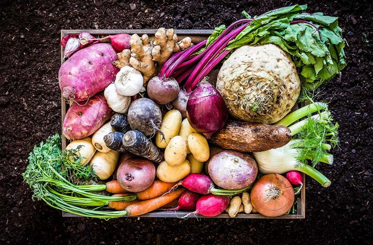 A Beginner’s Guide to Cooking Local with Chef Aaron Butts