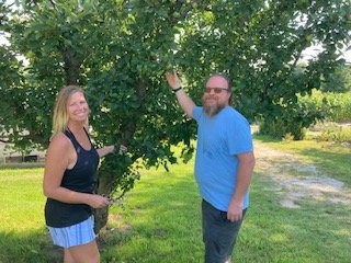 Seeing apple trees ready to harvest at DeCamp Gardens (Copy)