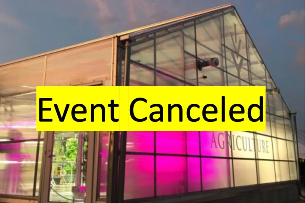 Ivy Urban Farm Greenhouse Tour