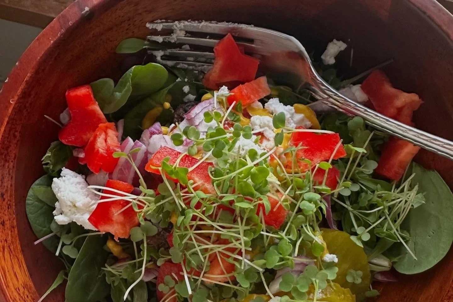 Building a Healthy Plate