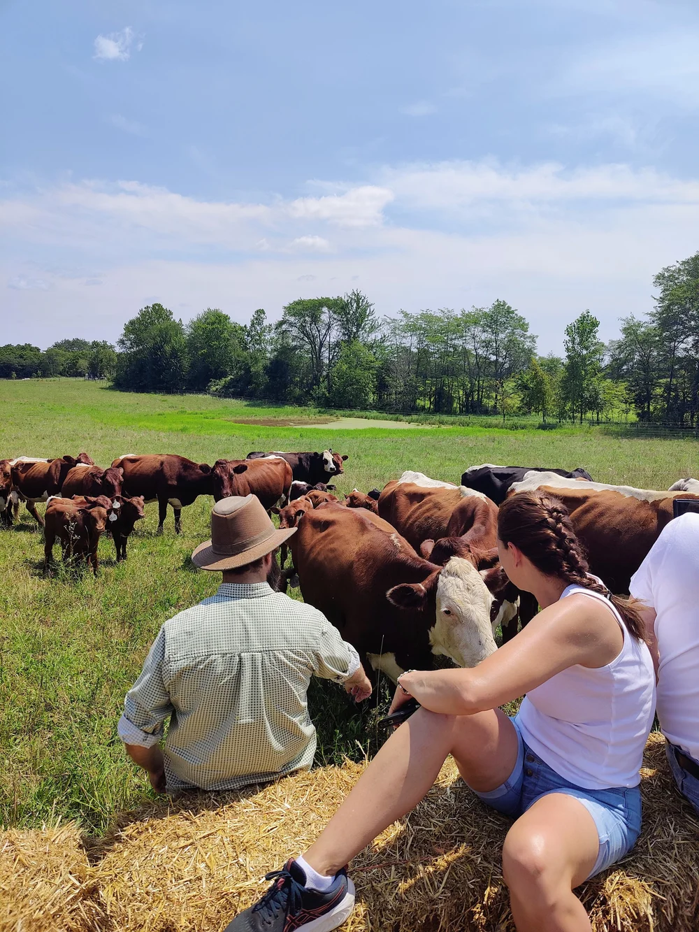 Lone Tree Farms 4.jpg