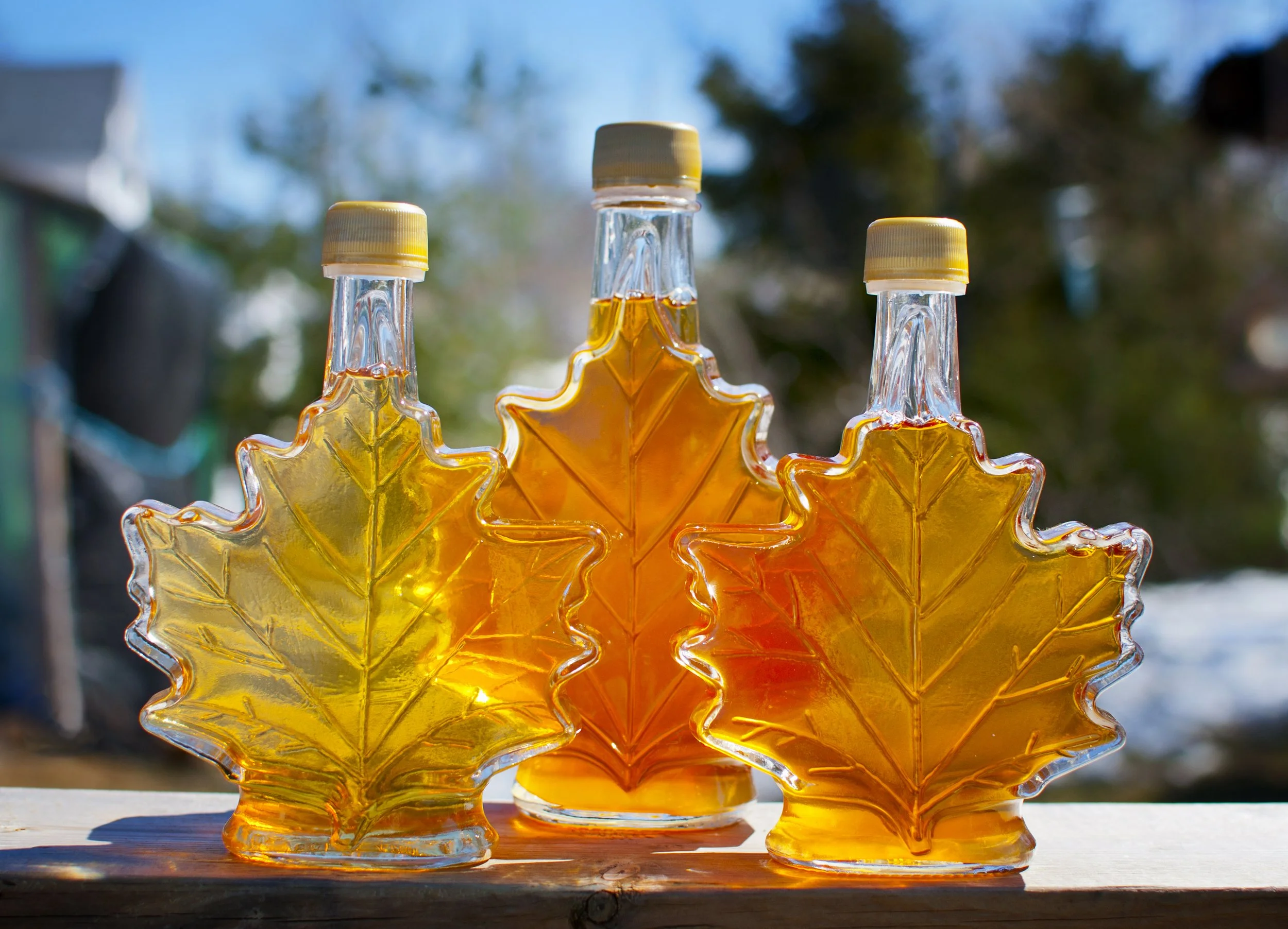 Maple Acres Family Friendly Indoor Tour &amp; Tasting
