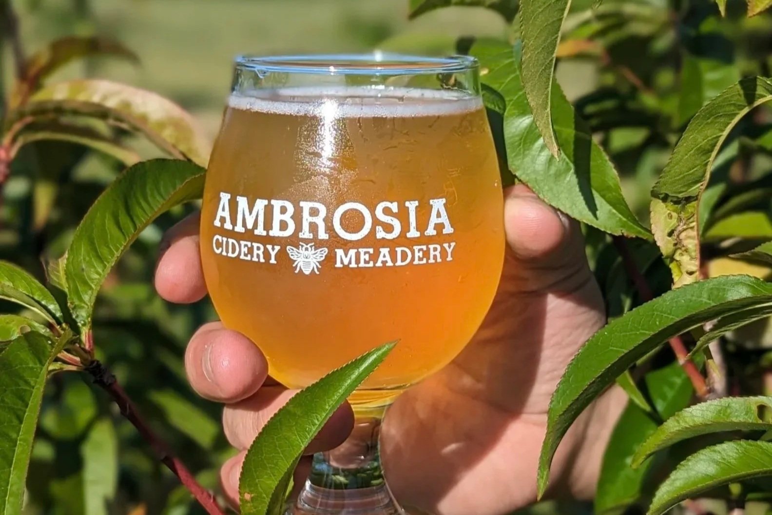 Ambrosia Orchard Meet the Mead Maker Tasting &amp; Tour